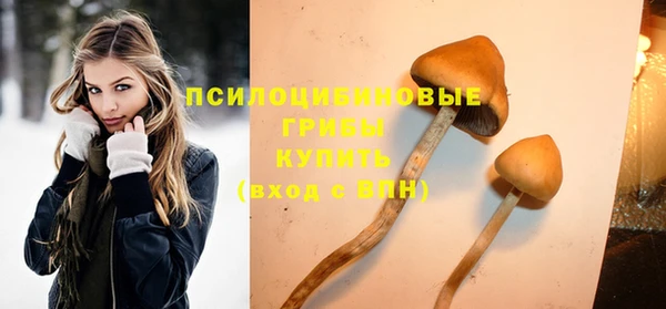 скорость Алзамай