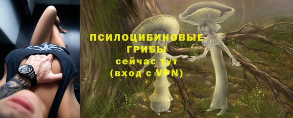 соль курить ск Алексин